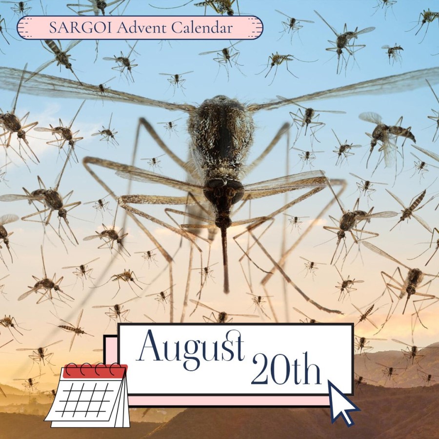 Mosquito Day